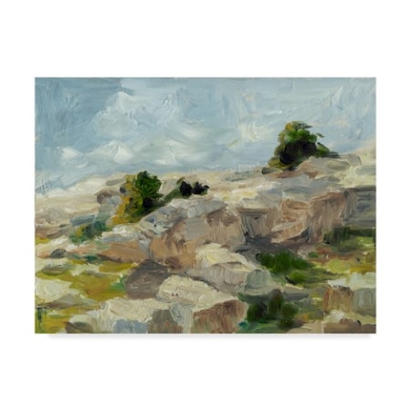 Ethan Harper 'Impasto Mountainside I' Canvas Art,24x32